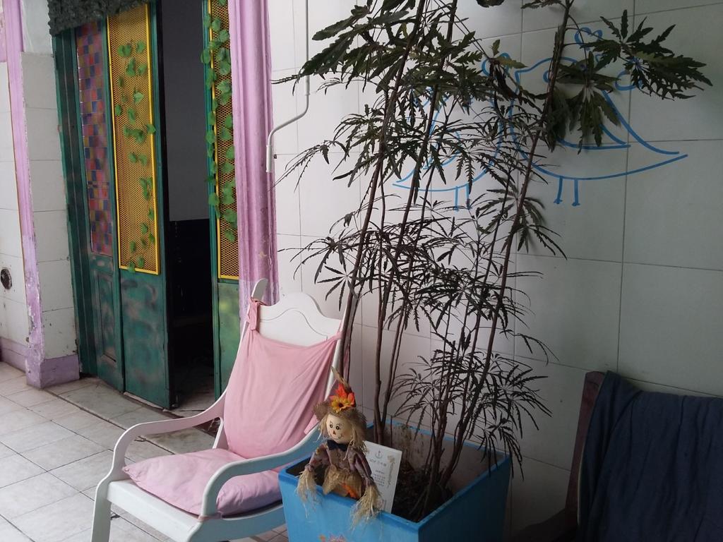 布宜诺斯艾利斯 青蛙旅舍旅舍 外观 照片
